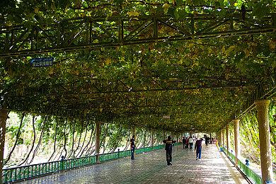 《街头霸王6》TGS公布四名角色全新衣装 个性十足